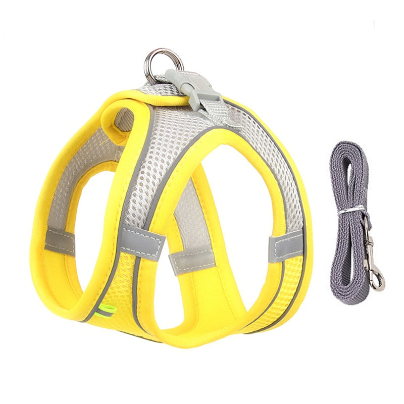 Cuddlio® Mini Pet Harness Leash Set