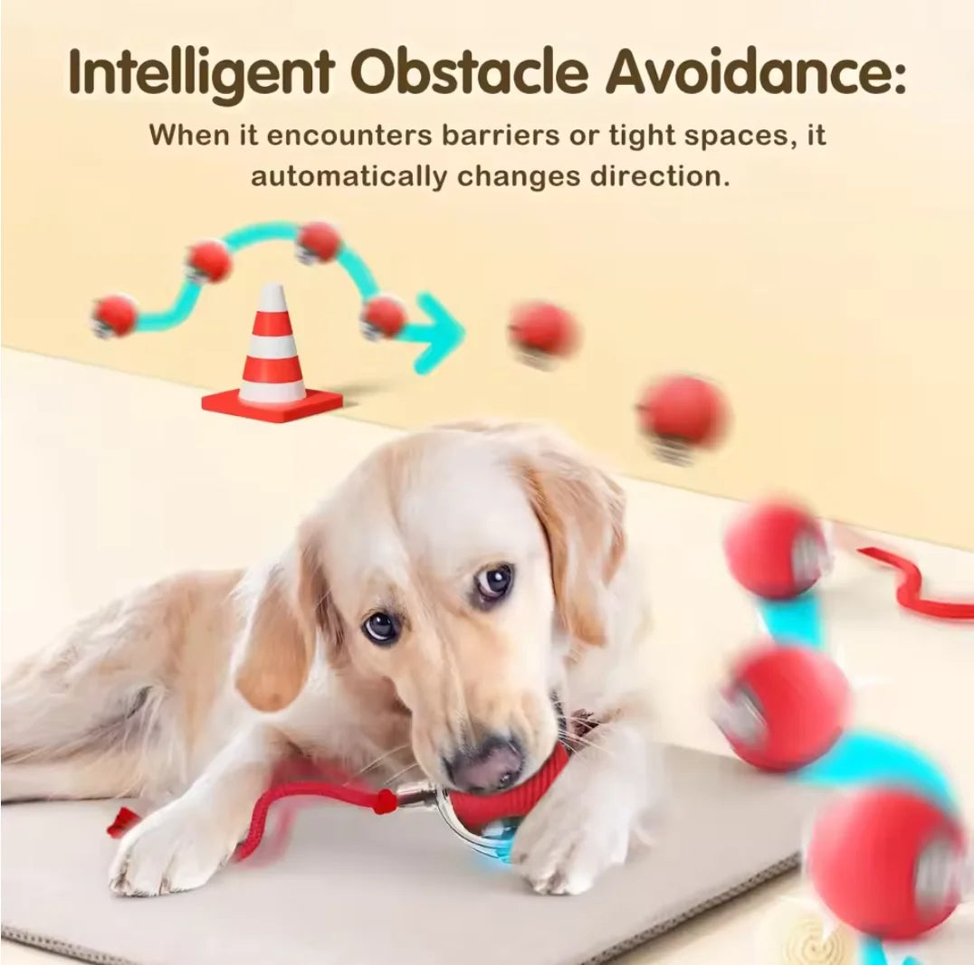 CuddliTail™ - Smart Rolling Ball