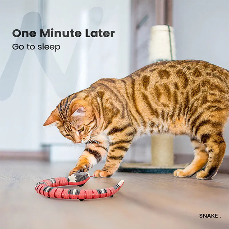 Cuddlio® Smart Snake Cat Toy