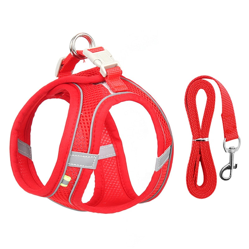 Cuddlio® Mini Pet Harness Leash Set