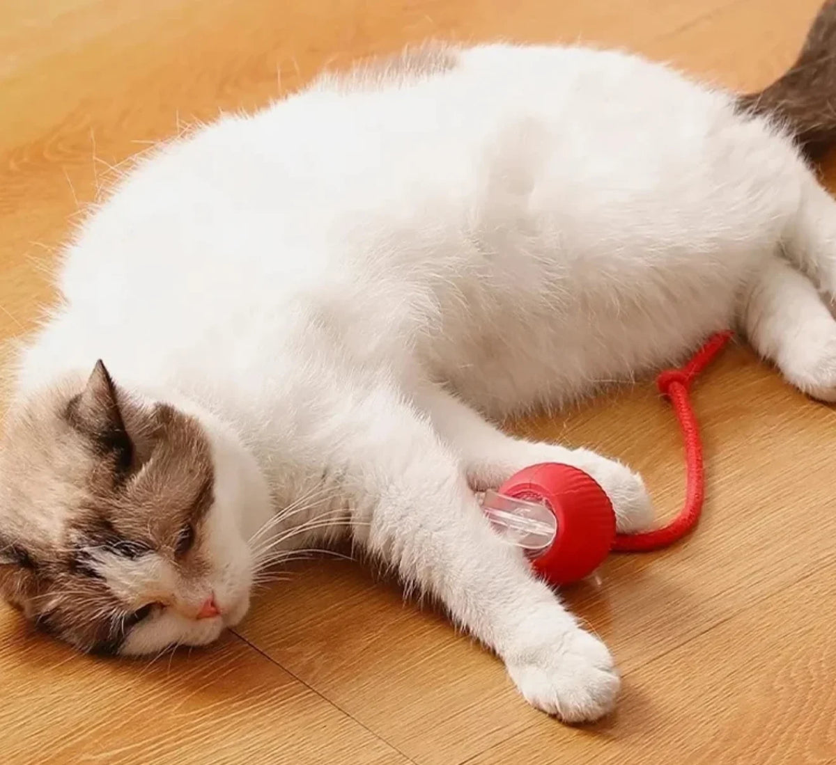 CuddliTail™ - Smart Rolling Ball