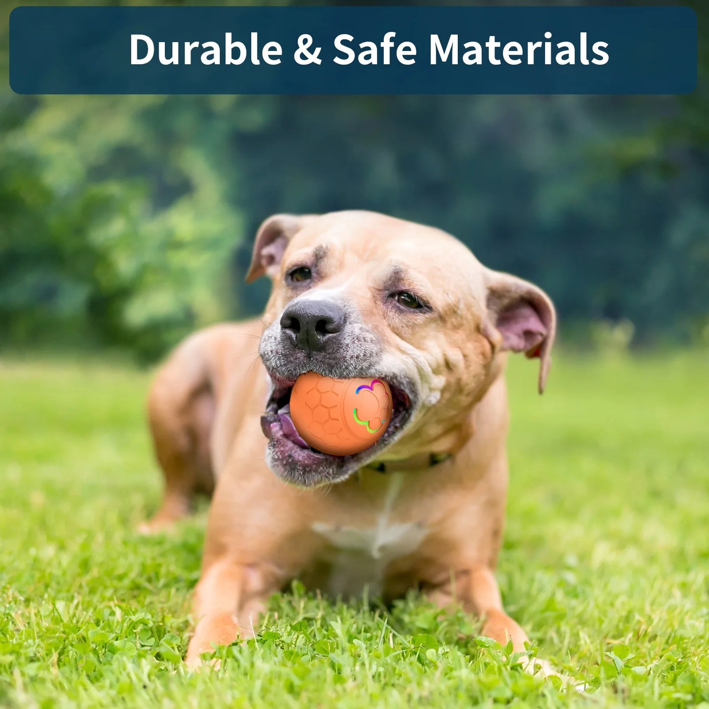 Cuddlio® Interactive Rolling Smart Ball