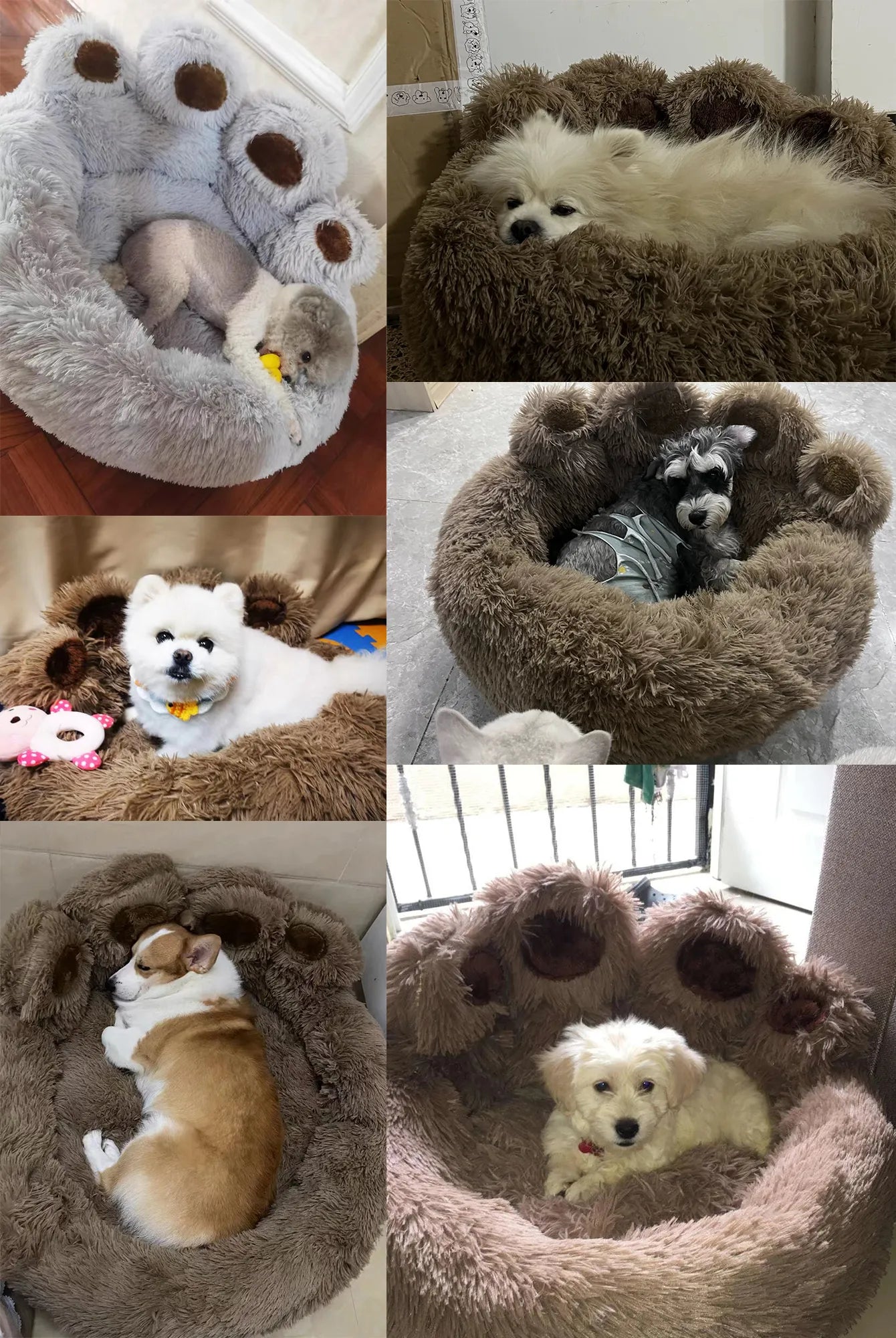 Cuddlio® Pet Paw Bed