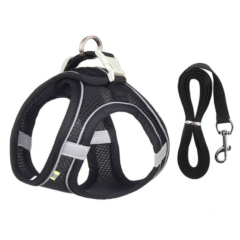 Cuddlio® Mini Pet Harness Leash Set