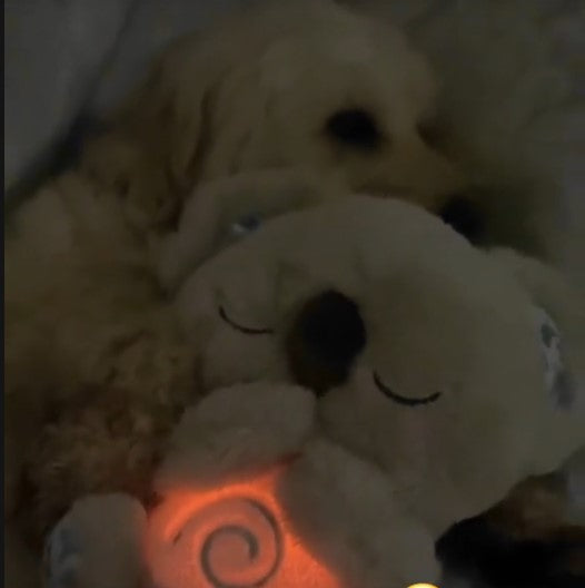 CuddliKoala™ - Breathing Koala Plush