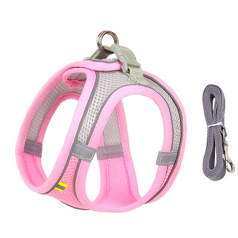 Cuddlio® Mini Pet Harness Leash Set