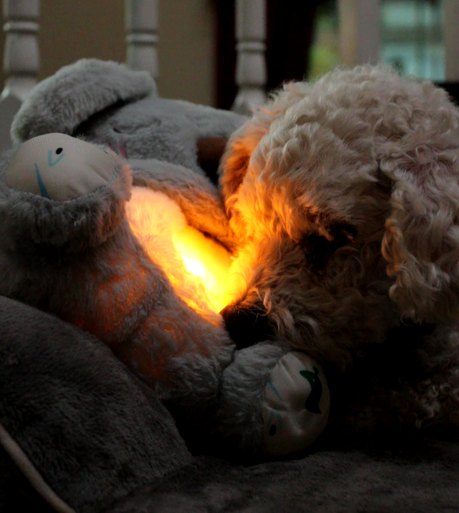 CuddliKoala™ - Breathing Koala Plush