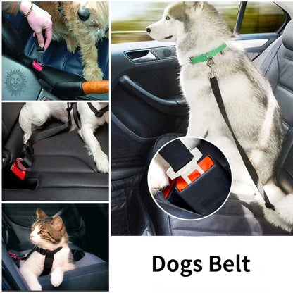 Cuddlio® Collar Car Seat Belt