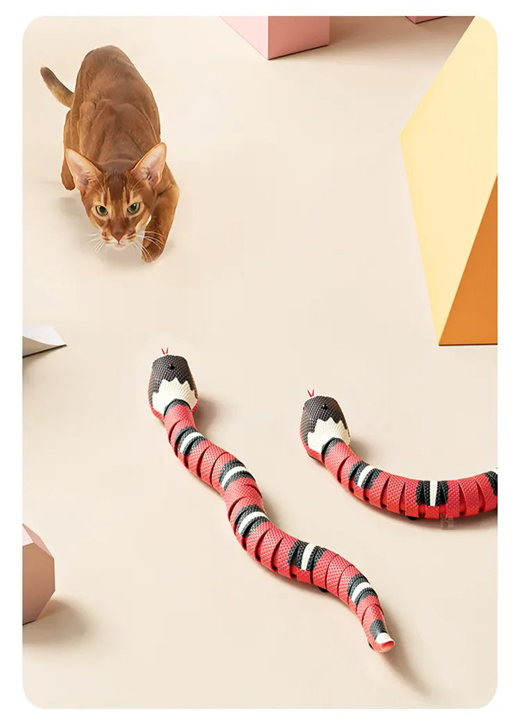 Cuddlio® Smart Snake Cat Toy