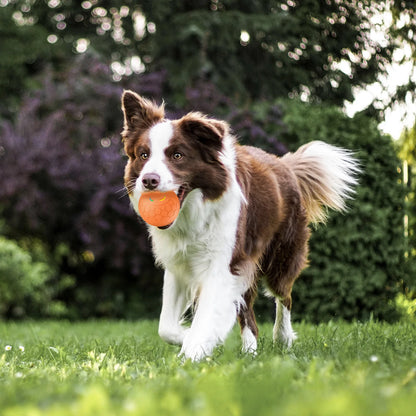 Cuddlio® Interactive Rolling Smart Ball
