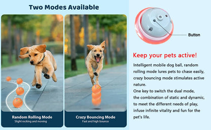 Cuddlio® Interactive Rolling Smart Ball
