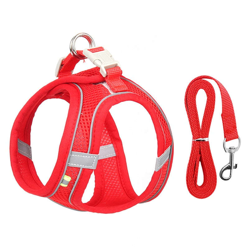 Cuddlio® Mini Pet Harness Leash Set