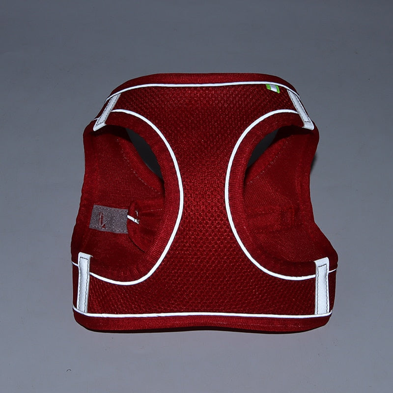 Cuddlio® Mini Pet Harness Leash Set