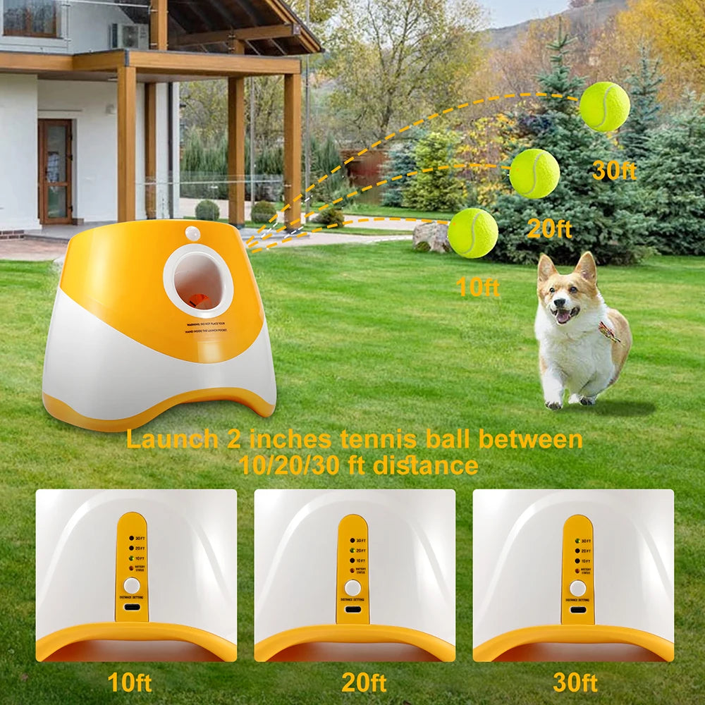 Cuddlio® Automatic Ball Launcher