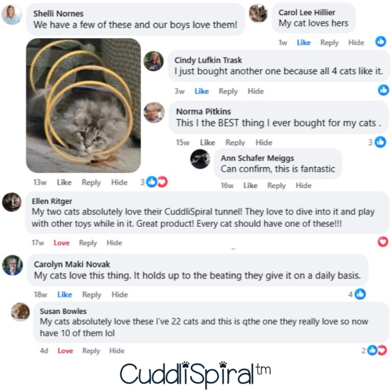CuddliSpiral™ - Spiral Cat Toy